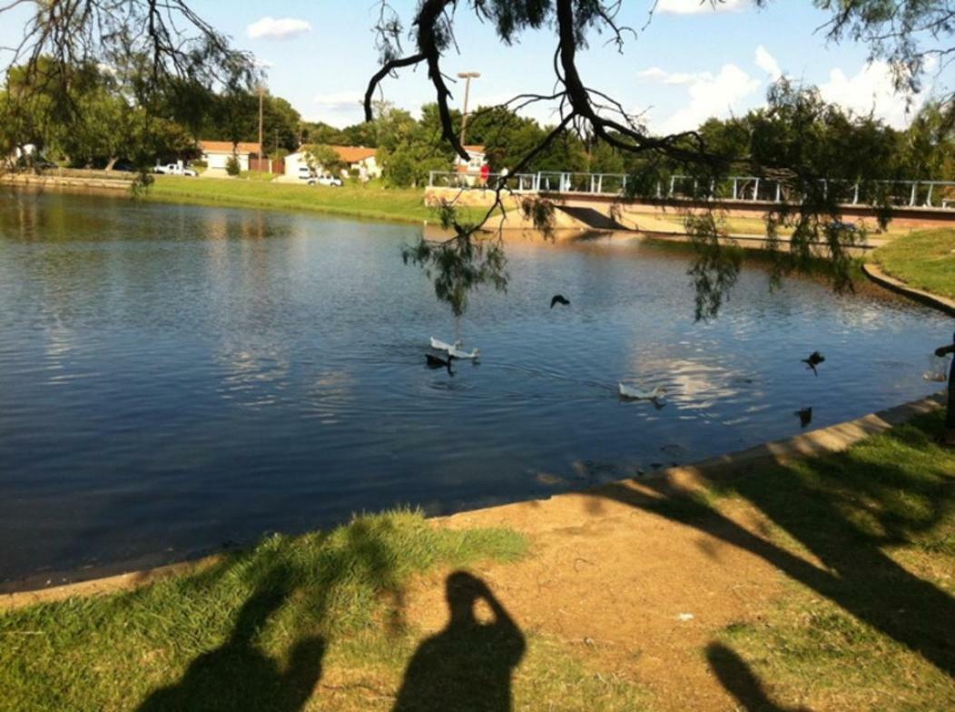 Oasis Near Dfw Airport With Mediterranean Setting Ървинг Екстериор снимка
